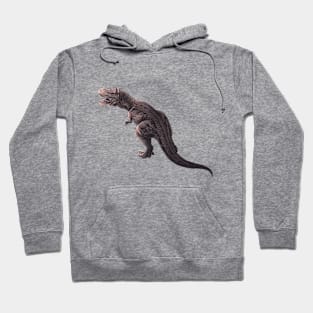 T-Rex Hoodie